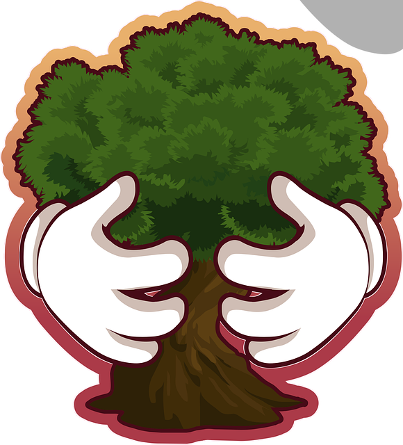 줄리안 퀸타르트 근황: 방송, 환경, 논란, 결혼까지