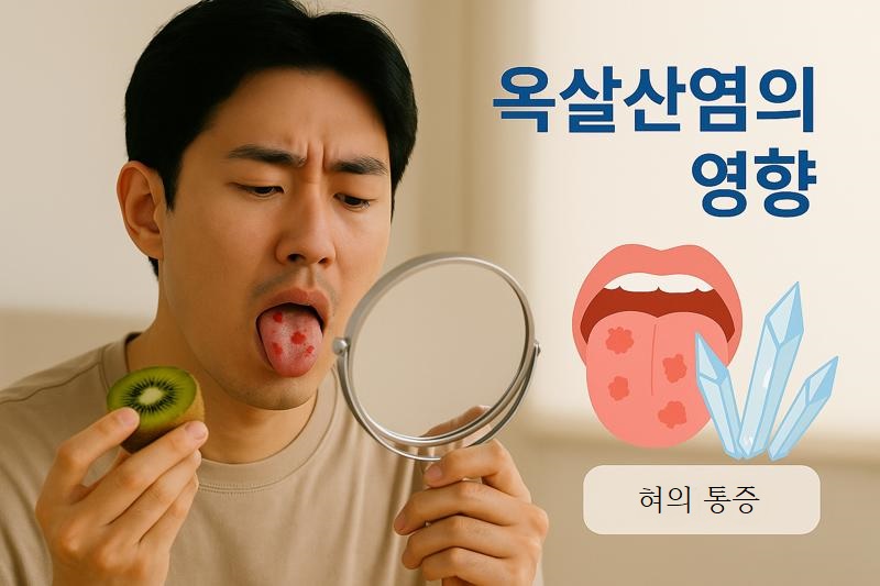 옥살산염이 많은 식품의 위험: 키위, 시금치부터 콩류까지 증상과 예방법 총정리