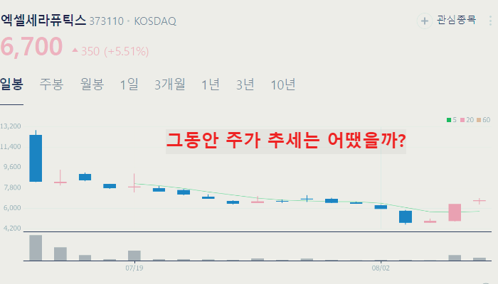 제약바이오 관련주 대장주 TOP10 정리