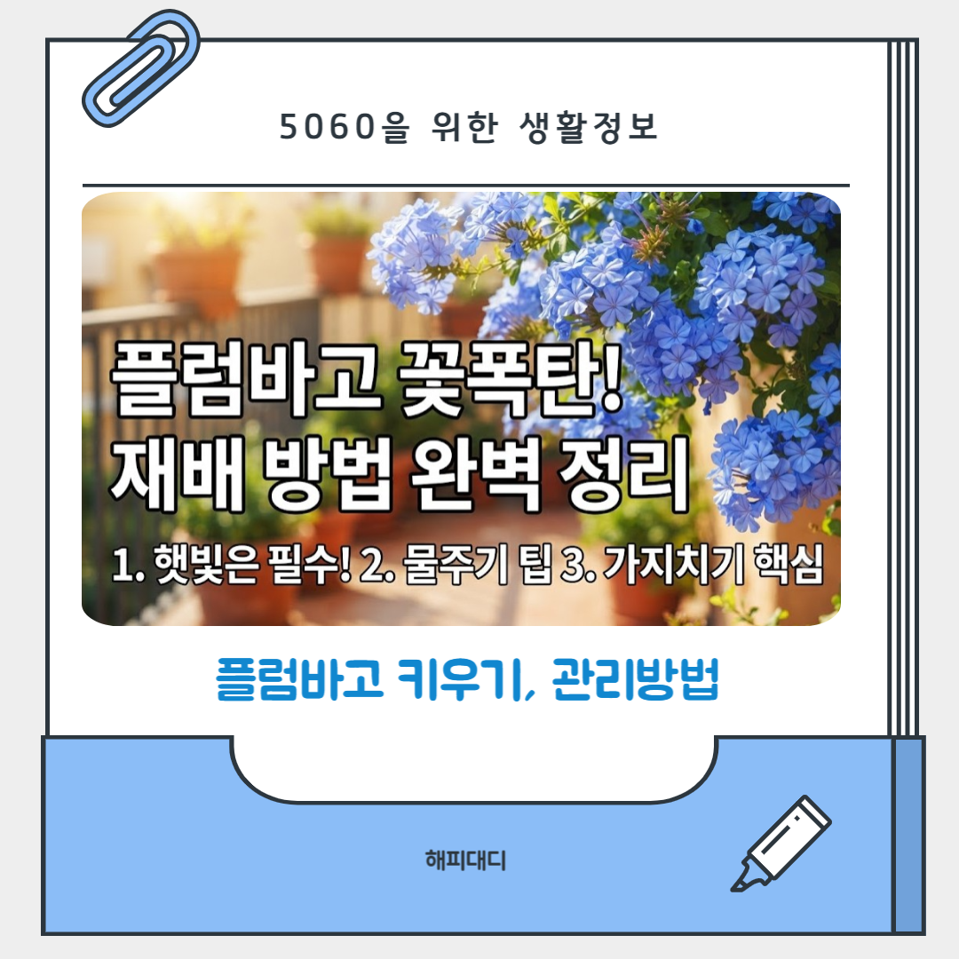 플럼바고 키우기