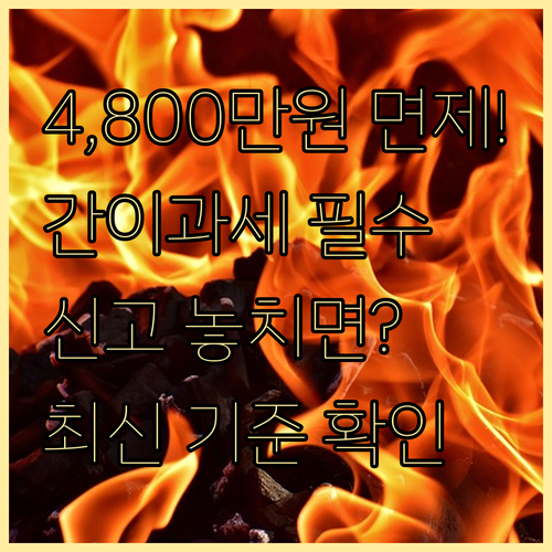 영세 간이과세자 부가세 4,800만원..