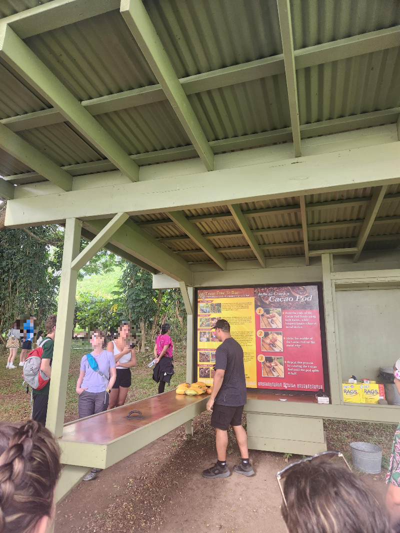 하와이 쿠알로아랜치 그로운 투어 ( 농장 투어 )