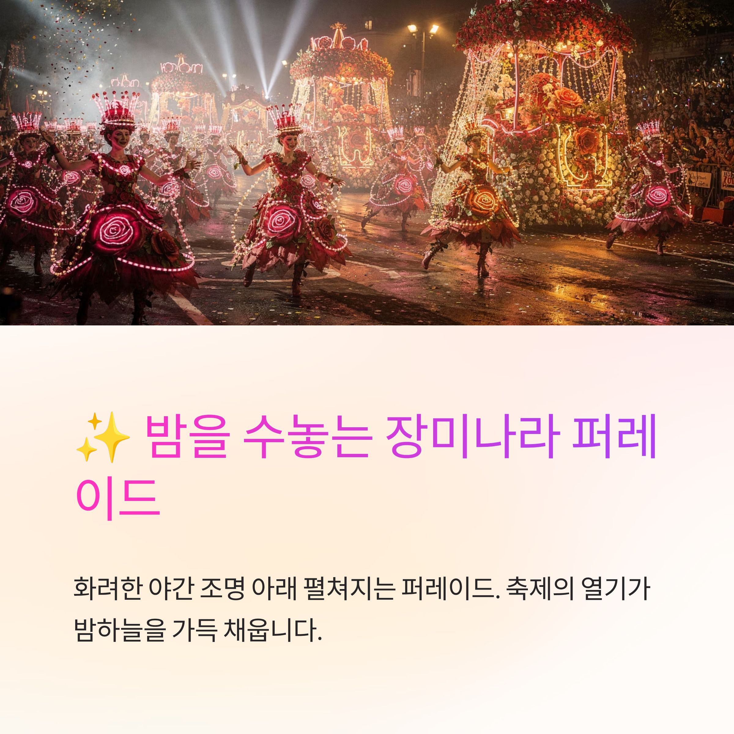2026 삼척 장미축제 다녀온 솔직 후기! 진짜 명당과 꿀팁 대방출