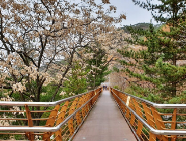 숲나들e 홈페이지 실시간 예약방법