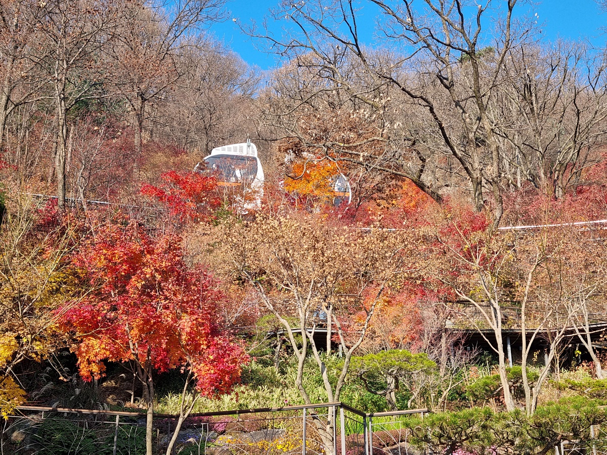 경기도 광주 곤지암 화담숲 단풍시즌&amp;#44; 가을 풍경 퍼레이드와 주변 맛집