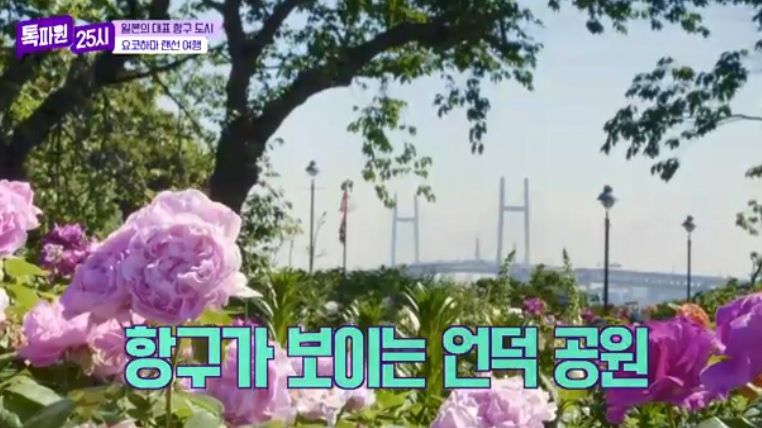 톡파원25시122화_일본여행_요쿄하마_야마테거리_항구가보이는언덕공원_미나토노미에루오카공원