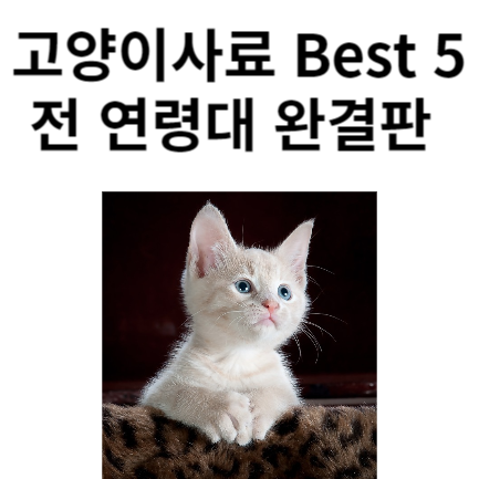 고양이 사료 추천