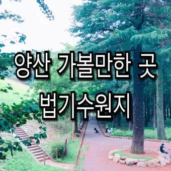 양산 가볼만한곳 추천 맛집 카페 여름 BEST 10_16