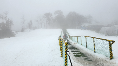 팜팜랜드 눈썰매장