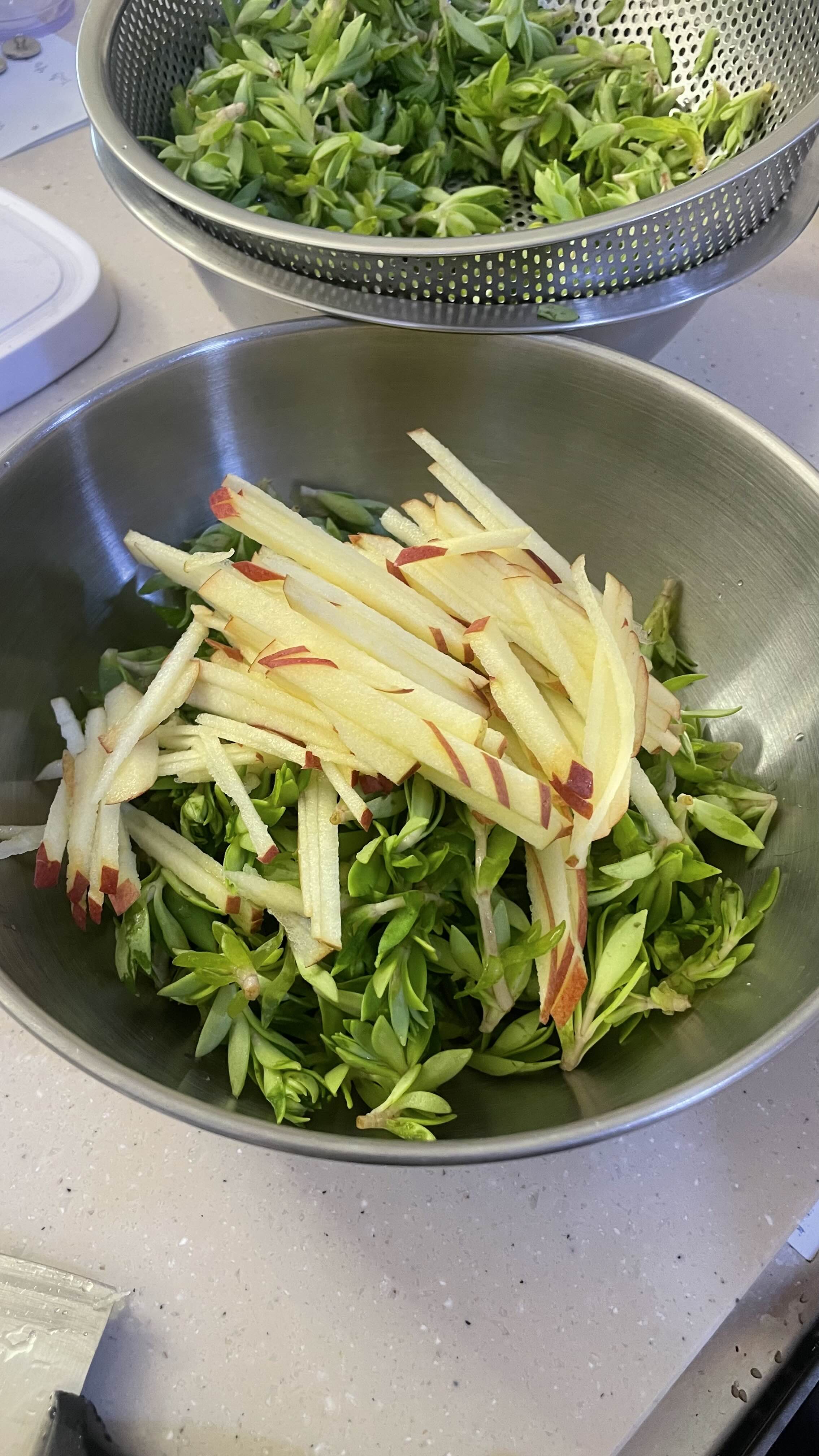 봄철 입맛 살리는 돌나물무침 레시피