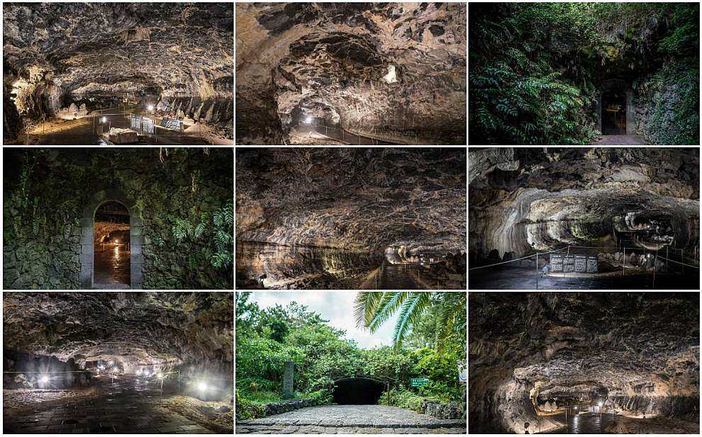 제주 한림공원 수국축제