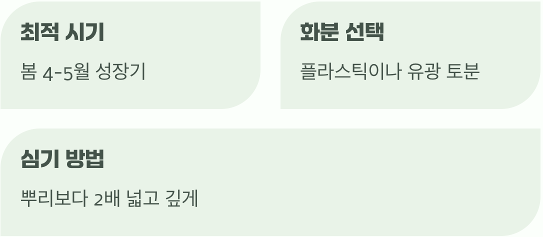 성공적인 첫걸음, 옮겨 심기