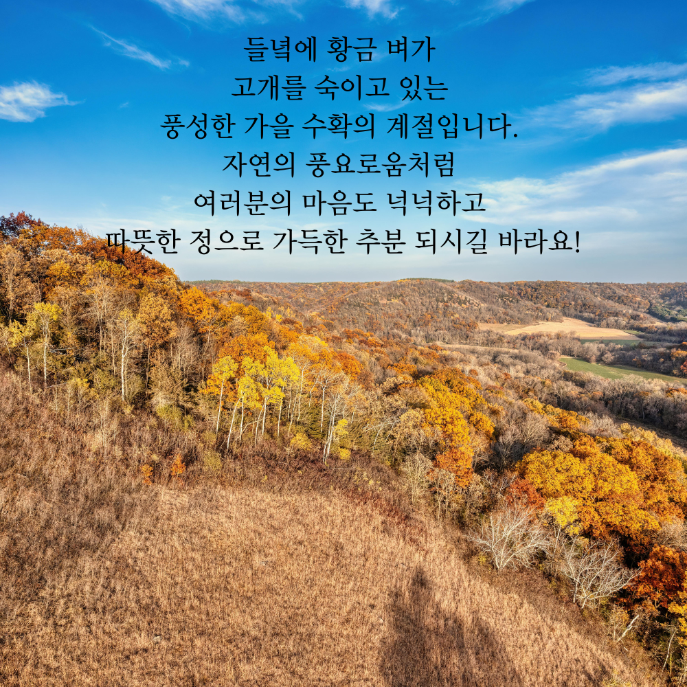 가을 인사말 추분 이미지 문구 모음집