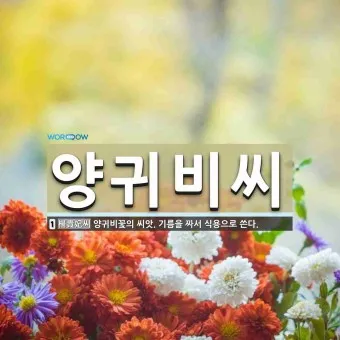 사필귀정 뜻 한자 인과응보 뜻 유래_11