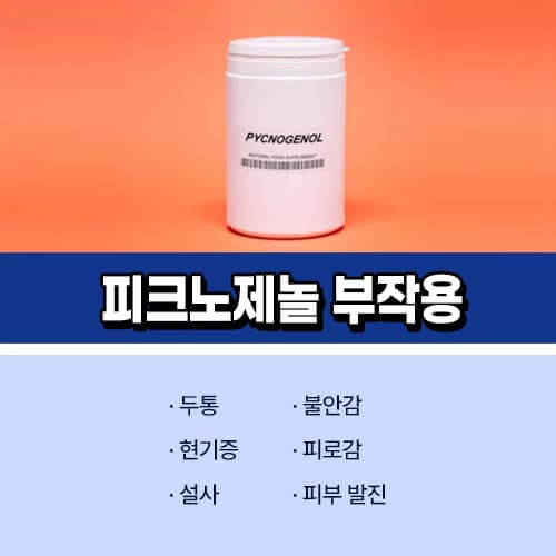 피크노제놀_부작용