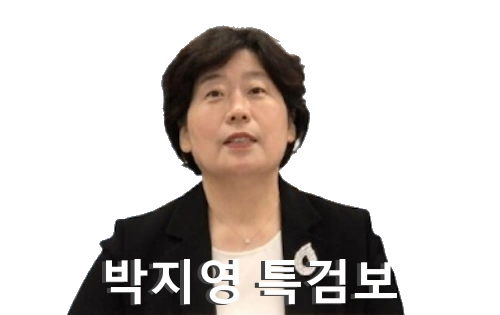 박지영 특검보 내란특검 ❘ 변호사 박지영 검사 프로필 고향 학력 특별검사보