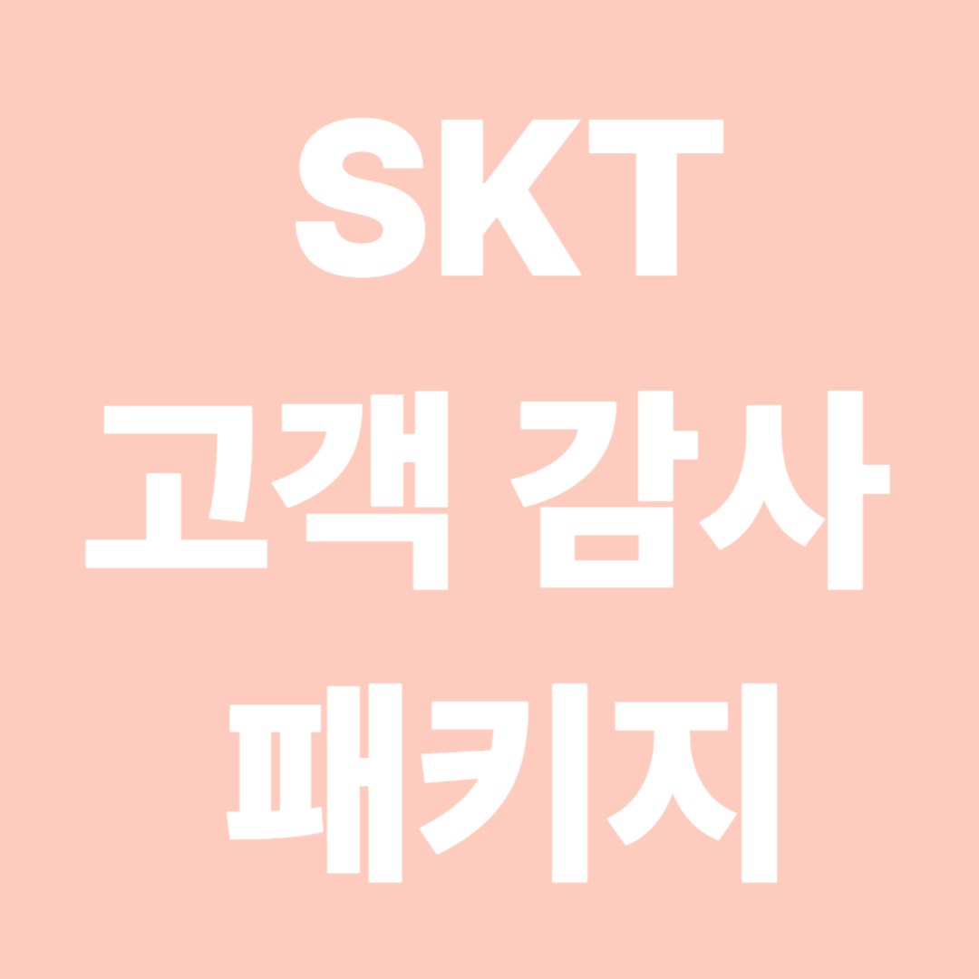 SKT 고객 감사 패키지
