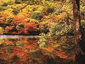 단풍여행 1박2일 버스 단풍구경