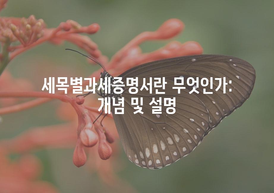샘플 (51)