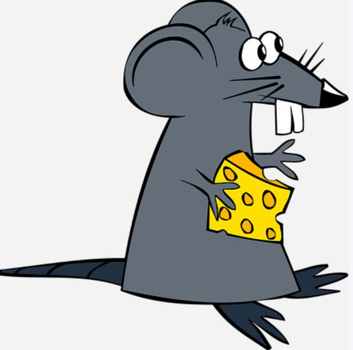 2023년쥐띠직장운 2023년쥐띠사업운 