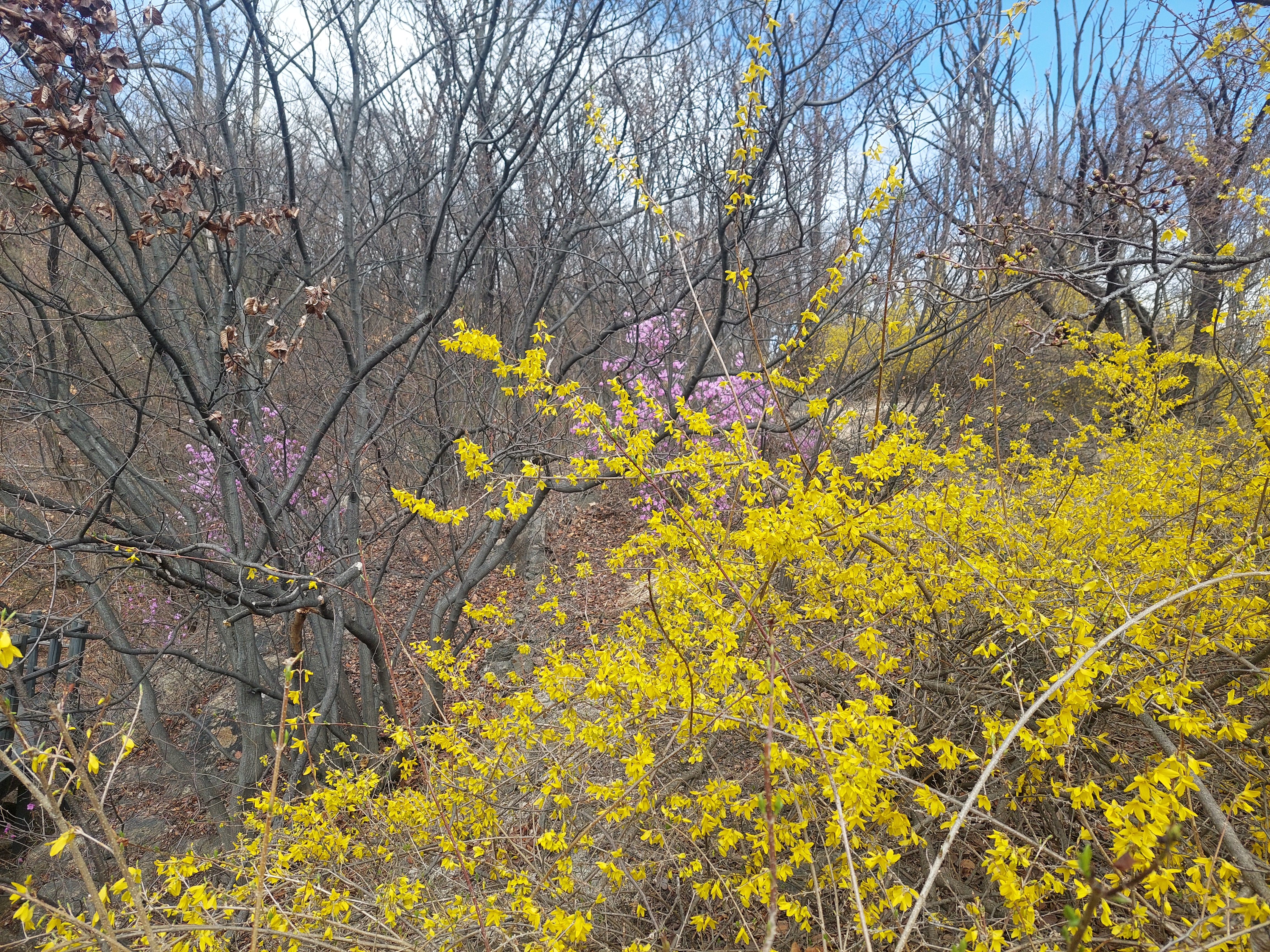 안산