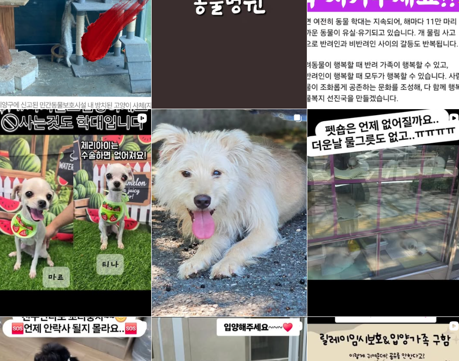 전주시 동물보호센터 안내문 이미지