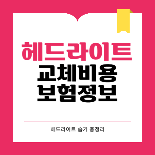 헤드라이트 교체비용 보험처리 교체 후 습기 총정리 최신버전