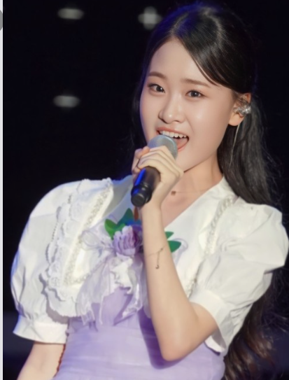 공식행사 및 홍보대사 공연