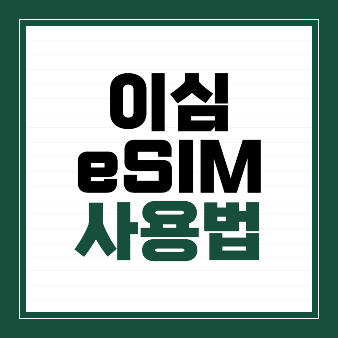 이심 사용법
