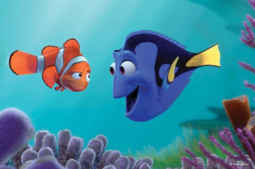 니모를 찾아서