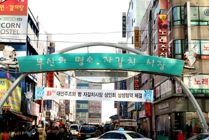 대체텍스트