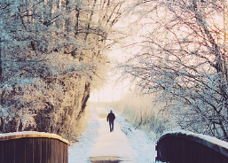 겨울철 무우보관법