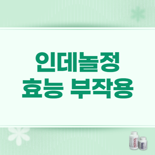 인데놀정 10mg 효과 지속시간 부작용