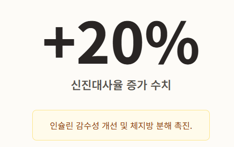 생강 효능