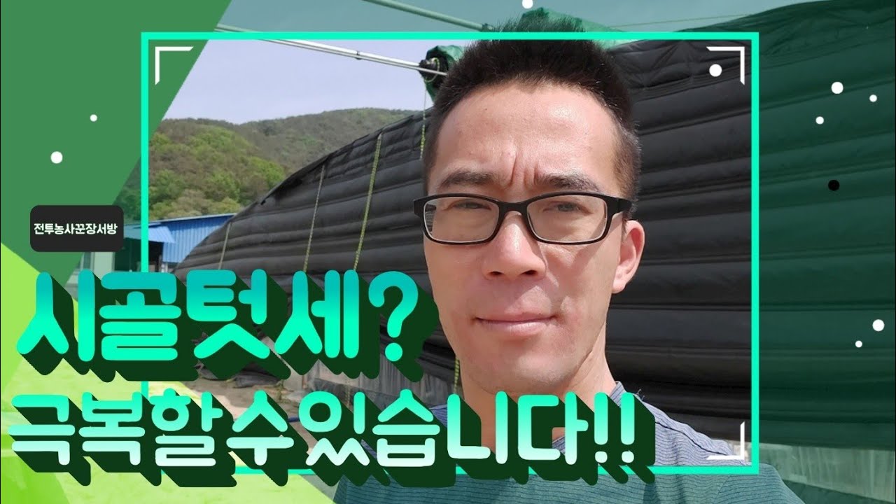 생방송오늘저녁 경남 밀양 유튜브 영상 뛰는 전투 농사꾼 사위 장서방 위에 나는 장모님 이야기 추천