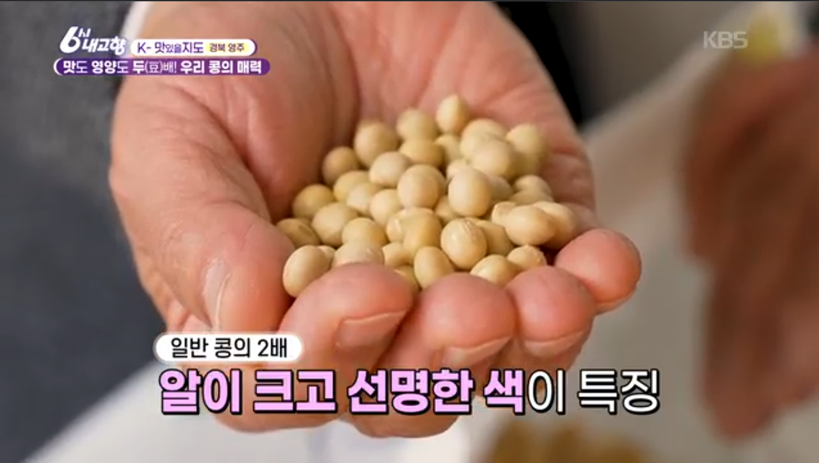 부석태 (6시내고향 k맛있을지도)