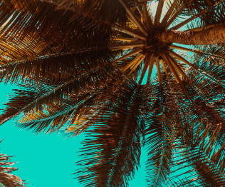 전기요금 할인 중복 받을 수 있나요? 가능한 조합 총정리