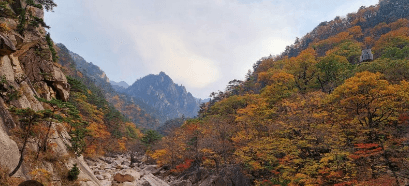 2024 설악산 단풍시기와 탐방코스 및 예약 방법