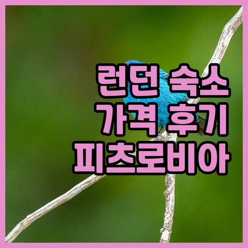 런던 그레인지 피츠로비아 호텔 가격