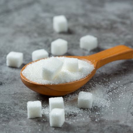 설탕섭취