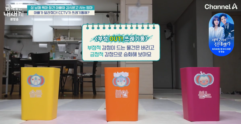 금쪽같은-내새끼-202회