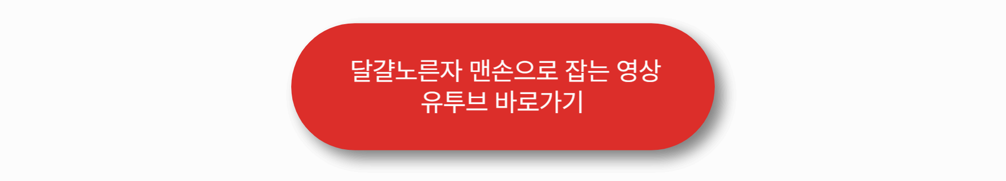 생생정보통 오늘방송(3월 11일) 순천세계수석박물관,엠오사이언스