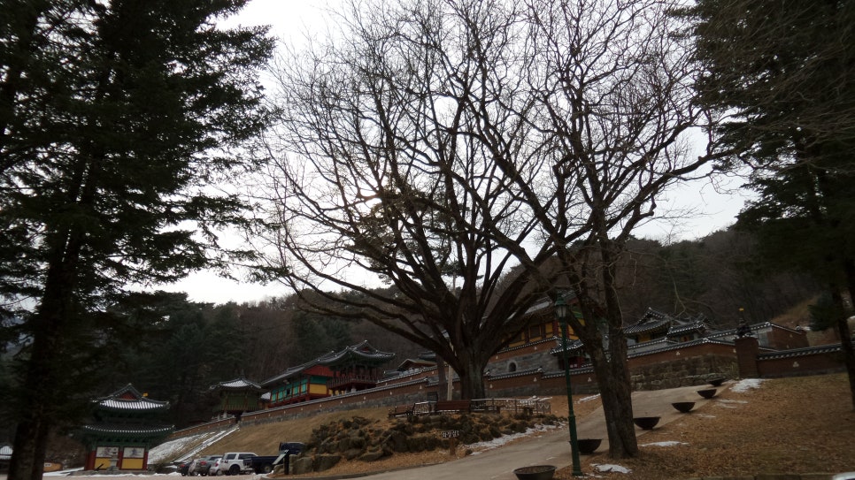 100대 명산 등산하기 일곱번째 원주 치악산 등산코스 완벽정리 치악산은 자연과 역사가 공존하는 대한민국 대표 명산