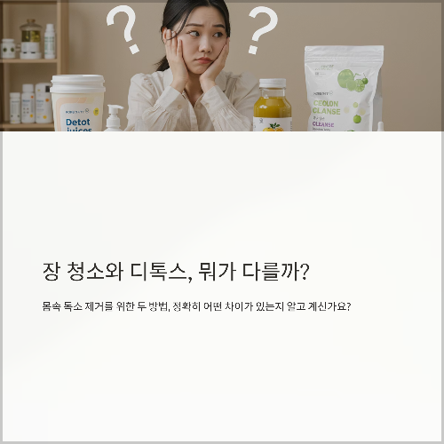 장 청소와 디톡스, 뭐가 다를까? 효과 중심 비교 분석