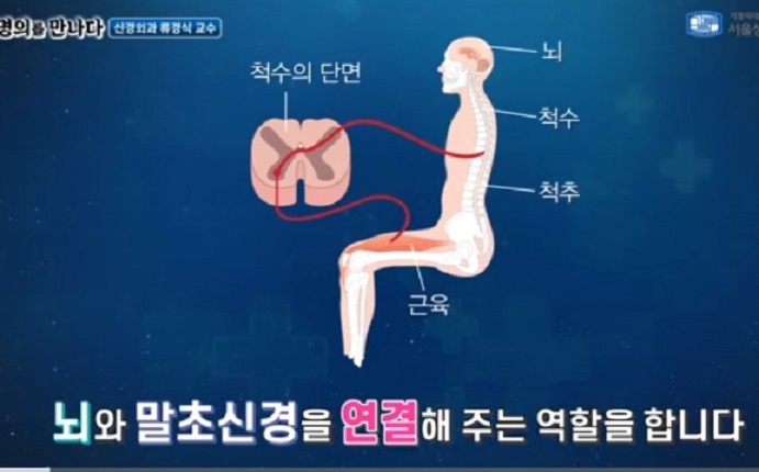 김치헌교수
