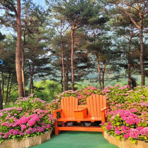 자라섬 꽃 페스타