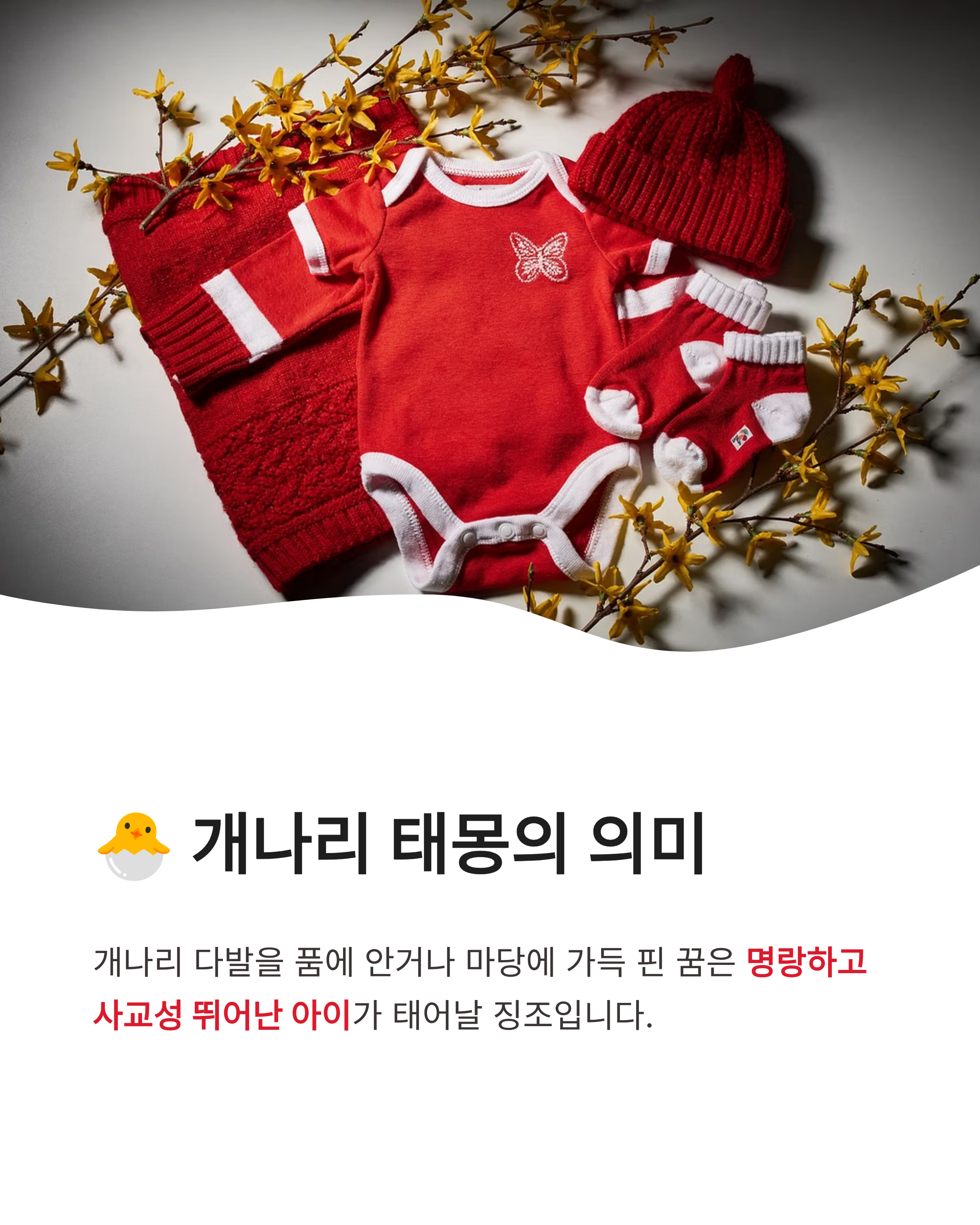 개나리꽃 꿈 해몽, 개나리 피는 꿈, 개나리 태몽 혹은 선물 받는 꿈 해몽