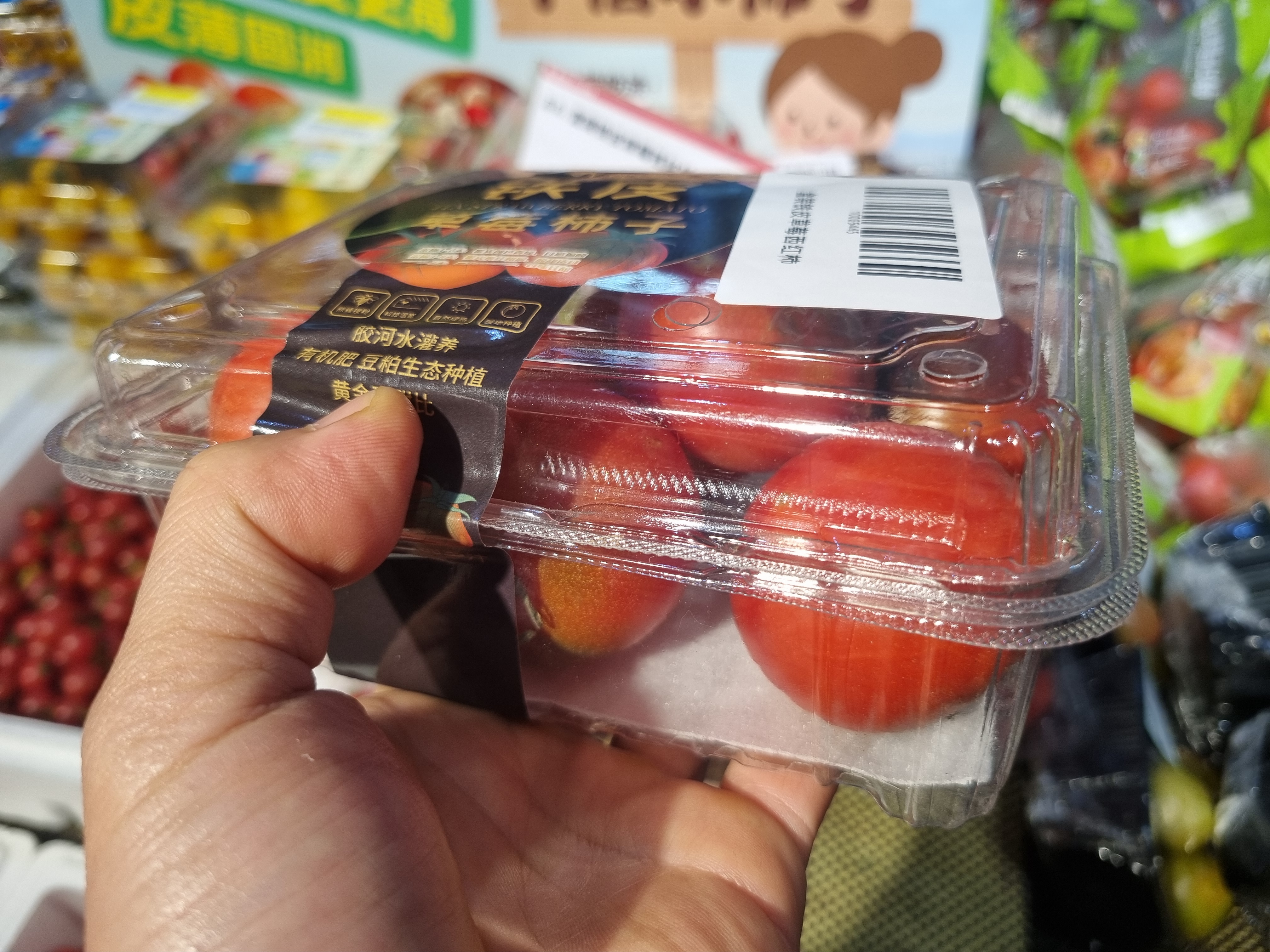 칭다오_마트에서_3월초과일_토마토 가격