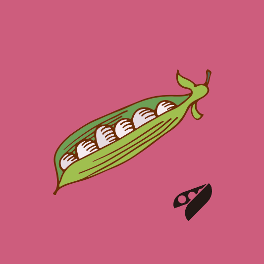 파주-장단콩-축제