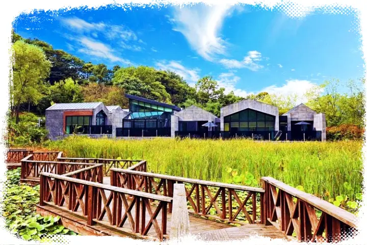 생방송오늘저녁 신박한 네바퀴 여행 경기도 여주 오토캠핑 펜션 캠핑장, 이천 산수유 마을 여행, 캠핑카 업체 정보